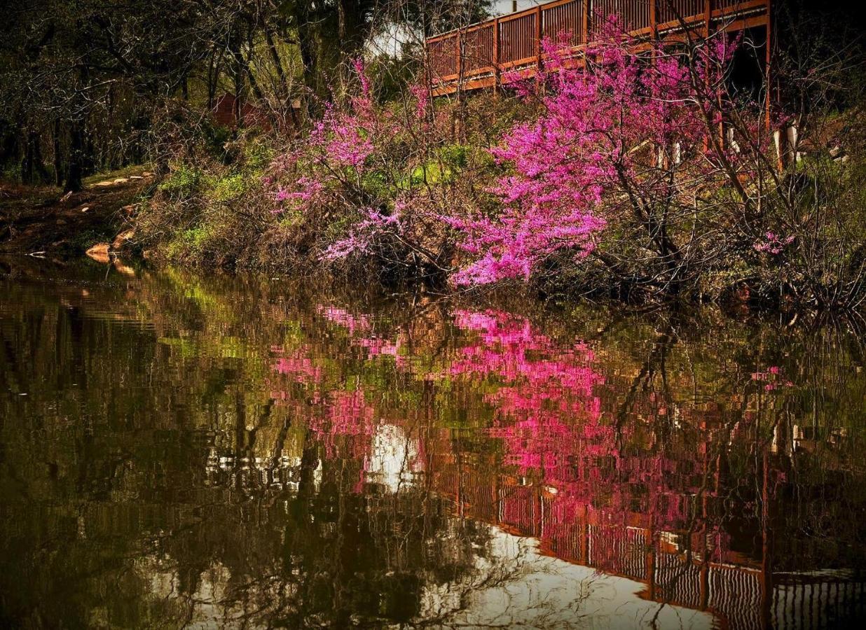 אוקלהומה סיטי The Monastery At Forest Lake מראה חיצוני תמונה